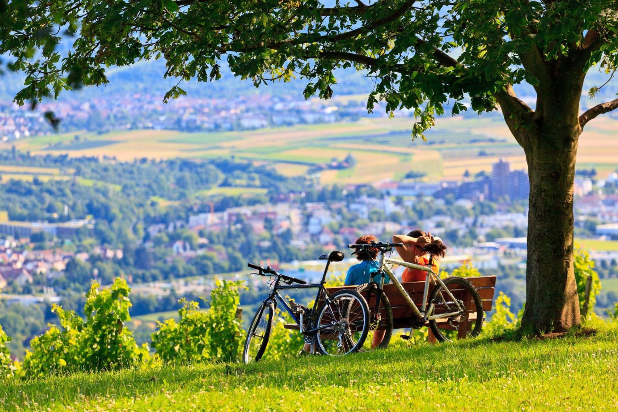 Express Stuttgart-waiblingen By Ihg Waiblingen (Stuttgart)